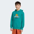 Худі Adidas Minecraft Terrex