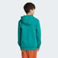 Худі Adidas Minecraft Terrex