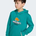 Худі Adidas Minecraft Terrex