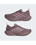 Кросівки SUPERNOVA RISE 3 GTX RUNNING