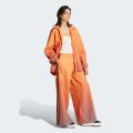 Спортивні штани Gradient Firebird Oversized