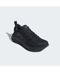 Кросівки SUPERNOVA EASE 2 GTX RUNNING