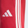 Спортивні штани Liverpool FC DNA