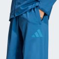 Спортивні штани Z.N.E. Woven Travel