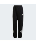 Спортивні штани Future Icons 3-Stripes