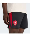Шорти Liverpool FC 25/26 Away