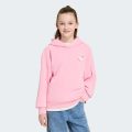 Худи adidas CARE BEARS BOXY CROPPED