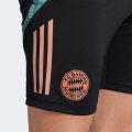 Тренувальні шорти FC Bayern Tiro 24 Training
