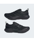 Кросівки SUPERNOVA RISE 3 GTX RUNNING