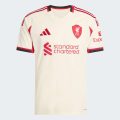 Виїзне джерсі Liverpool FC 25/26 Away