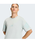 Футболка Future Icons 3-Stripes