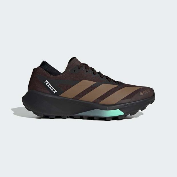Кросівки Terrex Agravic GTX 2 Trail Running