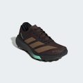 Кросівки Terrex Agravic GTX 2 Trail Running