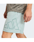 Шорти WORKOUT ESSENTIALS BASE PIQUE BIG LOGO