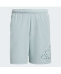 Шорти WORKOUT ESSENTIALS BASE PIQUE BIG LOGO
