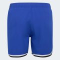 Шорти для плавання COLLEGIATE SWIM