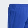 Шорти для плавання COLLEGIATE SWIM