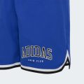 Шорти для плавання COLLEGIATE SWIM