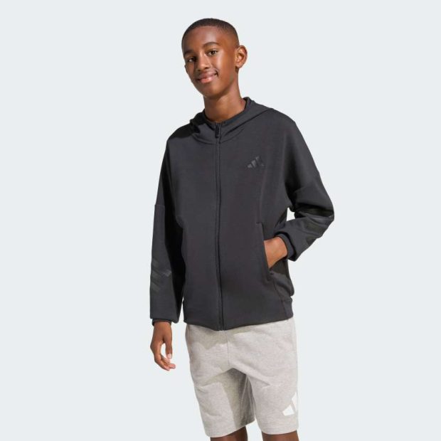 Толстовка FUTURE ICONS 3 STRIPES FULL ZIP