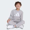 Комплект: світшот і джогери Essentials Kids