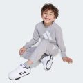 Комплект: світшот і джогери Essentials Kids
