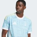 Виїзне джерсі Juventus 25/26 Away