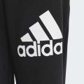 Джогери Essentials Regular Fit Big Logo Cotton