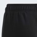 Джогери Essentials Regular Fit Big Logo Cotton