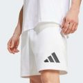 Шорты New adidas Z.N.E.