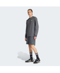Шорти Mercedes - AMG Petronas Formula One Team Premium Sweat