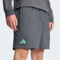 Шорти Mercedes - AMG Petronas Formula One Team Premium Sweat