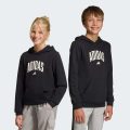 Худі CODES COLLEGIATE GRAPHIC