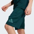 Шорты adidas Z.N.E. Kids