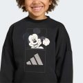 Комплект: свитшот и брюки ADIDAS DISNEY MICKEY MOUSE