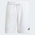 Шорты ADIDAS Z.N.E.