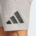 Шорты Essentials Big Logo Single Jersey