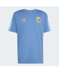 Футболка Argentina DNA