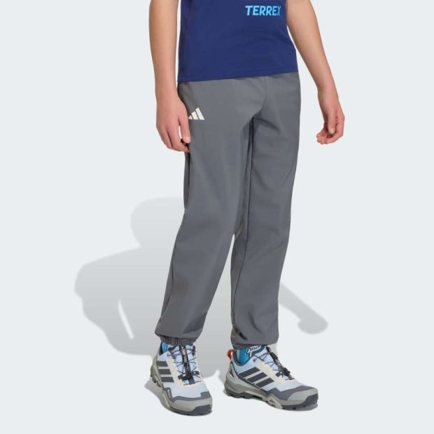 Брюки Adidas Minecraft Terrex CLIMAWARM Softshell