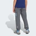 Брюки Adidas Minecraft Terrex CLIMAWARM Softshell