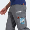 Брюки Adidas Minecraft Terrex CLIMAWARM Softshell