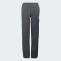 Брюки Adidas Minecraft Terrex CLIMAWARM Softshell