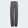 Брюки Adidas Minecraft Terrex CLIMAWARM Softshell