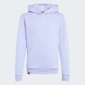 Худи Adidas Minecraft Terrex