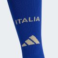 Домашні гетри Italy 26 Home