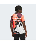 Джерсі Mercedes - AMG Petronas Formula One Team Driver Replica Summer Pack