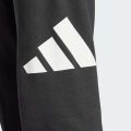Джогери Essentials Big Logo French Terry