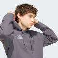 Худи AUDI REVOLUT F1 TEAM DRIVER