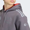 Худи AUDI REVOLUT F1 TEAM DRIVER