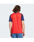 Домашнє джерсі Spain 26 Home Replica