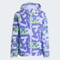 Куртка adidas Minecraft Terrex 2 Layer Climaproof Rain